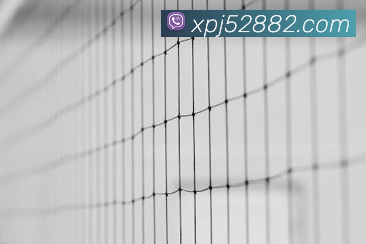 体育App